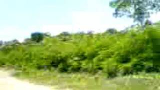 MOV00139