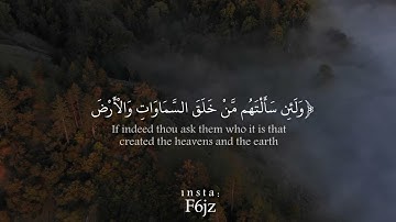 سورة الزمر | عبدالوهاب طاهر