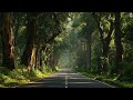 Relaxing Travel Song 🚗 Kerala Hills & Nature Vibes