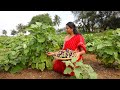 Oil Brinjal Curry - Traditionally Made || Ft. @The Tiny Foods || Ram & Valar || The Traditional Life