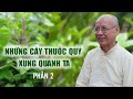 Những cây thuốc quý xung quanh ta - PHẦN 2 | Thầy Huyền Diệu