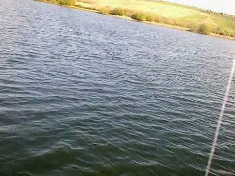Video: Jezero S Trikom. Štuka Na štapu