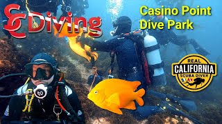 SCDiving | Scuba Diving Catalina Island