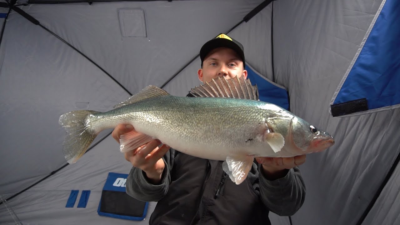 Wind Storm 💨 Walleye on the Red River (60km Winds) YouTube