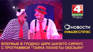 картинка: Впервые в Гродно! Цирк шапито Сириус с программой 