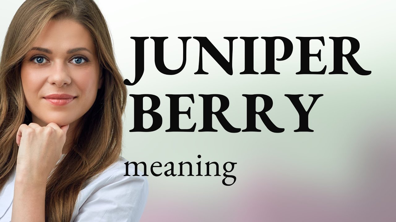 Juniper berry — what is JUNIPER BERRY meaning YouTube