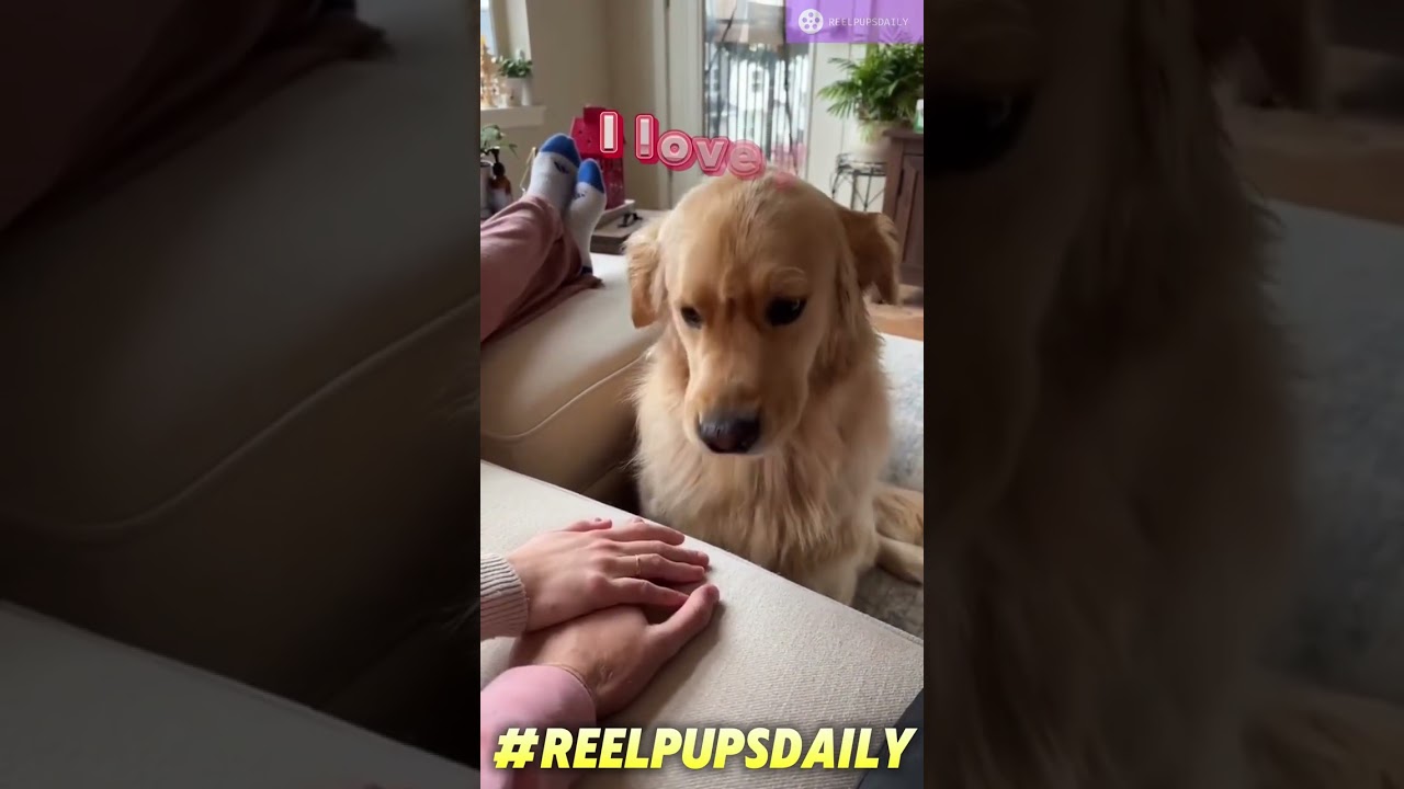 The realest “I love you” you'll see today. ❤️🐾