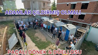 Dönekçi̇leri̇n Büyük Kapişmasi