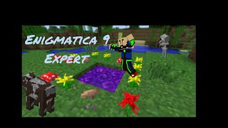 Enigmatica 9 Expert: Day 6  - Finishing Chapter 1!! Making the tree of life.