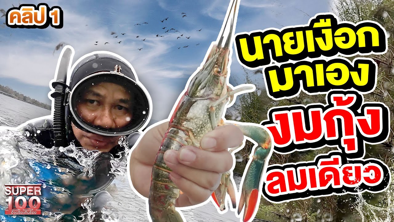 คลิป 1 | นายเงือกตัวจริง #เอก กลั้นหายใจจับกุ้งก้ามแดงด้วยมือเปล่า ! | SUPER100