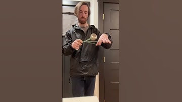 "Suspense" 5a combo. #5ayoyo #yoyo #freehand #trickcircle