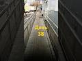 День 38-й тг: alex_tovarka #авито #бизнесистория #товарка #reels