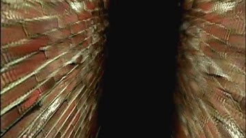 Jeff the Killer??!! SCP-087-B