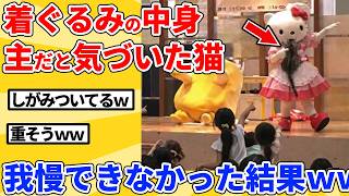 【2ch動物スレ】着ぐるみで仕事中の飼い主が猫にバレた結果ｗｗｗｗｗ