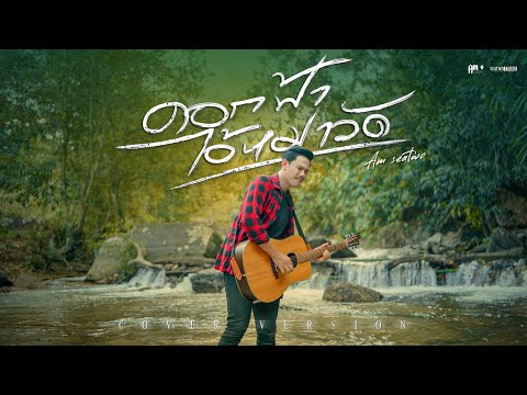 ดอกฟ้า ไอ้หมาวัด - Am seatwo (cover version) Original : ลูกดรีม วงสำราญ