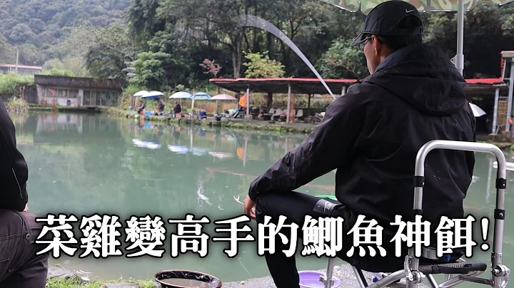 【池釣】一款菜雞變高手的鯽魚神餌!! | 2019/03/24 - 天天要聞