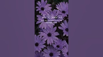 وما توفيقي إلا بالله |قرآن كريم 🌹💚 هدوء وراحة