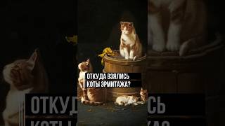 Коты для императрицы #интересныйфакт #история #котики #петербург
