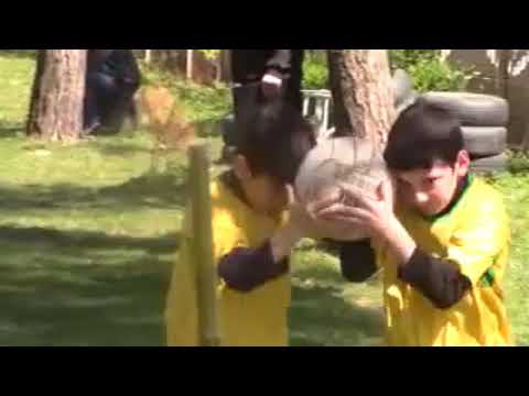 მხიარული სტარტები(კურსების სკოლა)