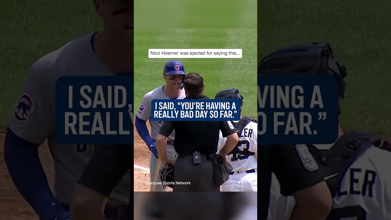 Nico Hoerner told the homeplate umpire: "You're having a really bad day so far." 
