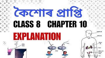 Class 8 Science Chapter 10 "কৈশোৰ প্ৰাপ্তি" Full Details Explanation in Assamese