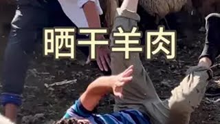 今天宰羊晒干肉吃 记录我的农村生活 农村美食 新农人计划2024 丰收的季节