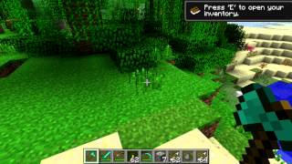 Mjolnir (Staff of Gandalf) Minecraft Server Plugin (MCSMP Bukkit)