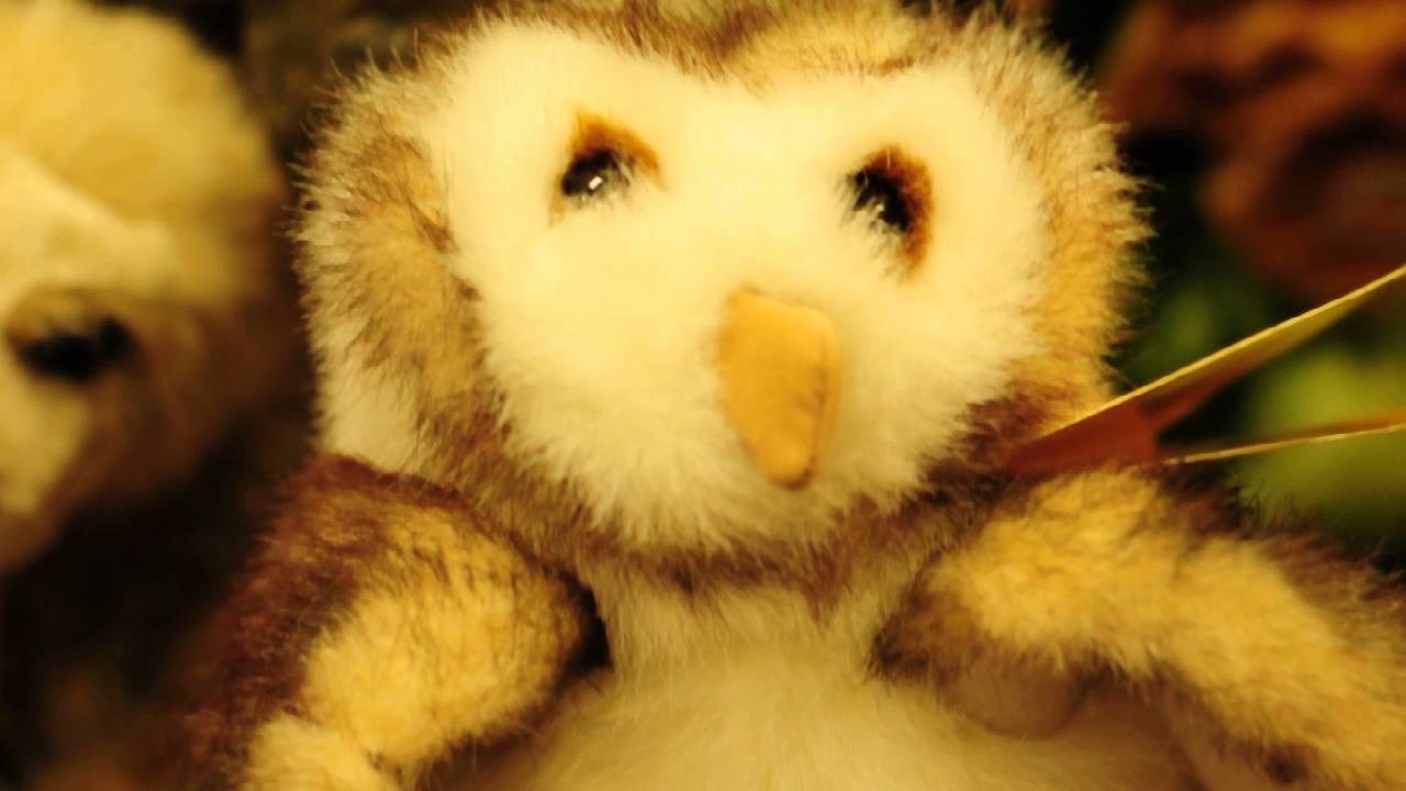 Owl in Flight by DJWC