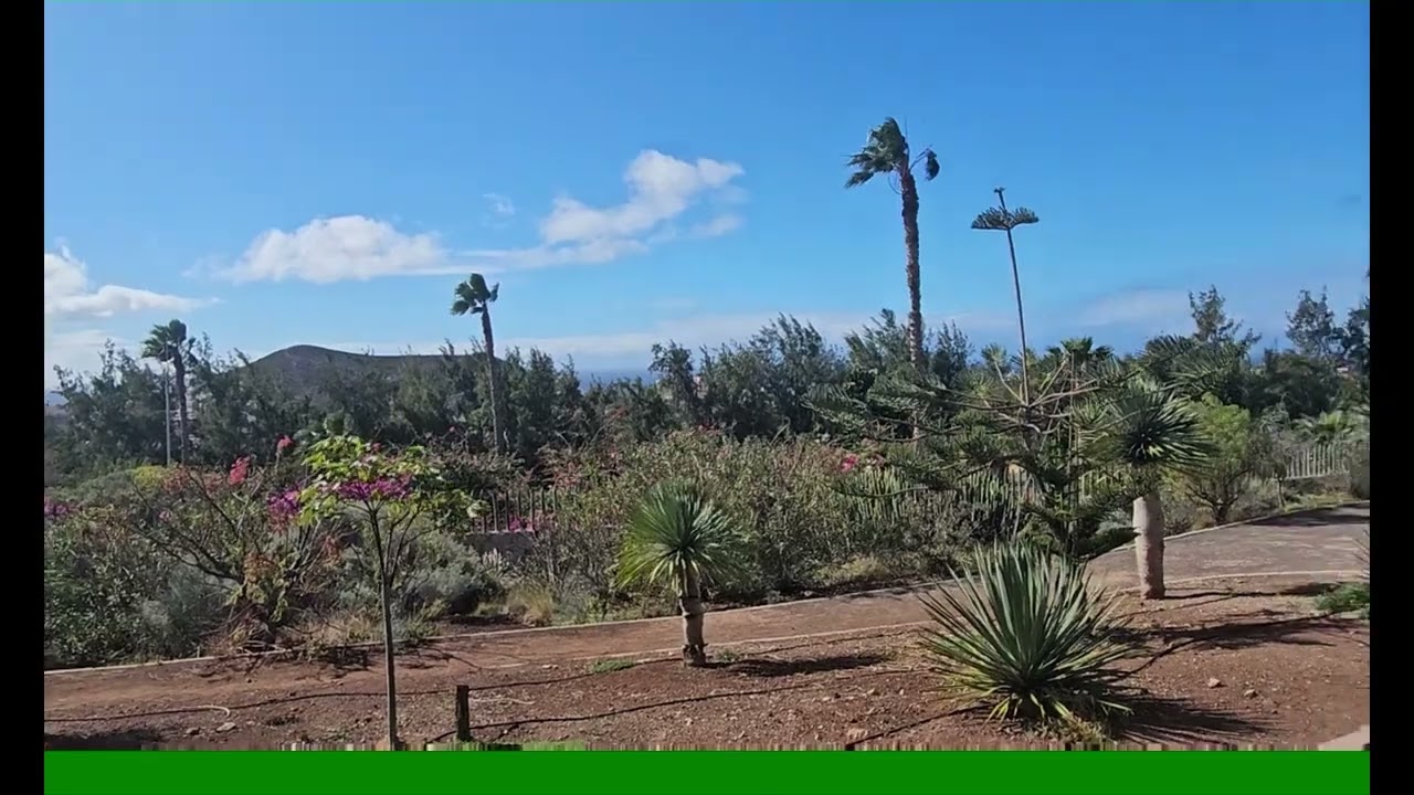 Golf Las Americas 18 1 2026 Los Cristianos