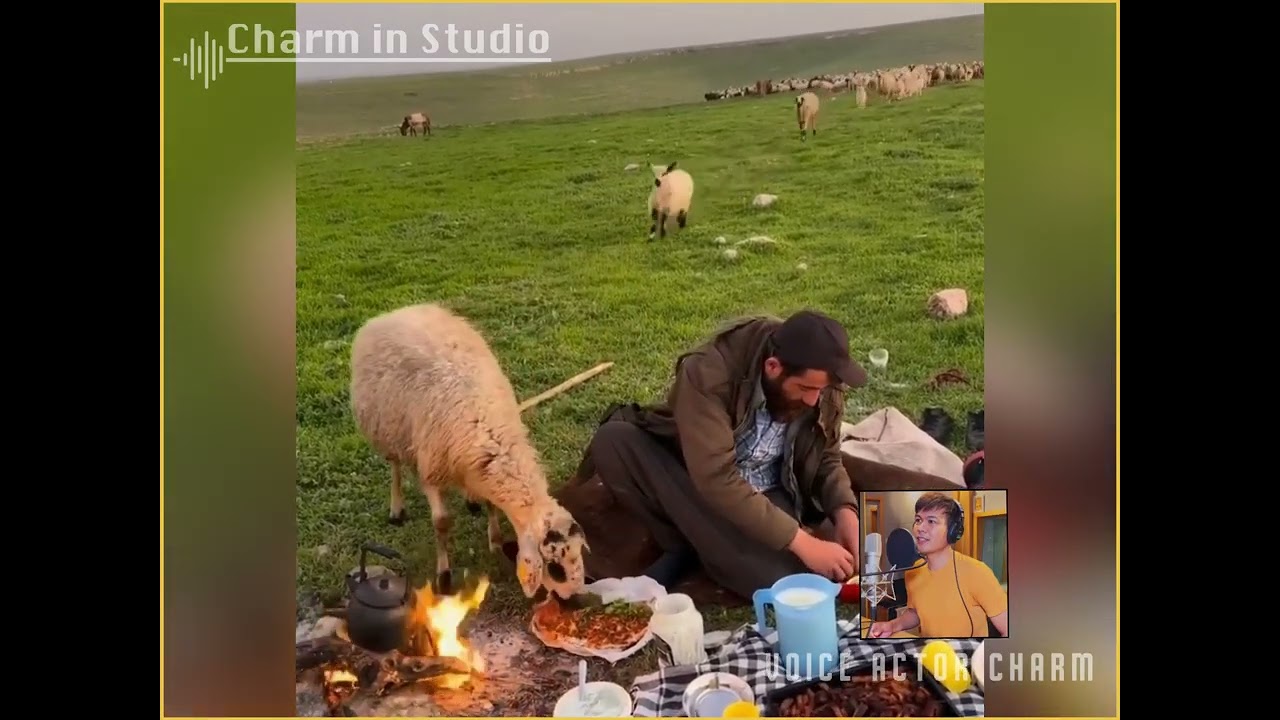 ဟိုတယ်ကြက်