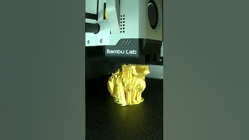 The Pokémon eevee rock Timelapse video