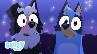 Blueys Love Confession Season Special