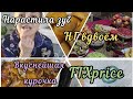 Что я думаю о праздниках/ Залечила зуб/Новенькое в FIXprice/Вкуснейшая курочка/Пирожки