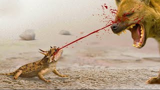 10 Fatal Ways Animals Protect Themselves