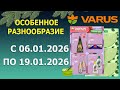 🎉Газета ВАРУС с 6.01.2026 - 19.01.2026 - Особенное Разнообразие.