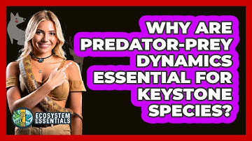 Why Are Predator-prey Dynamics Essential For Keystone Species? - Ecosystem Essentials