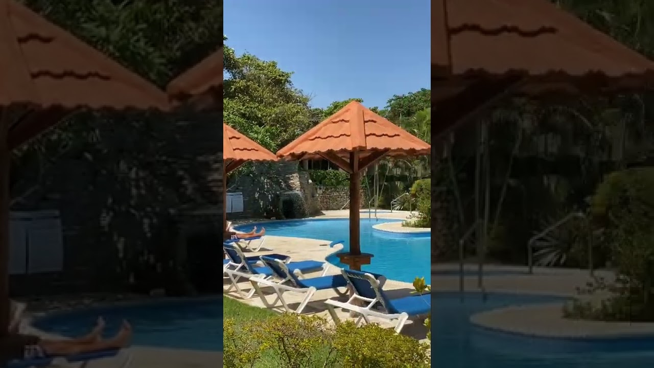 The Pool Apartment For Rent Perla Marina Bluefish Condos 785 USD Sosúa