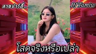 #จัดไปสายปาร์ตี้ #เพลงที่ทุกคนตามหา [ โสดจริงหรือเปล่า ]#wedj