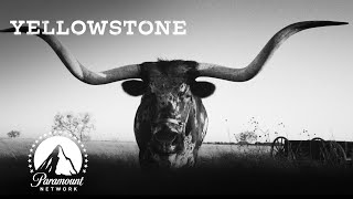A Trip Back in Time | Yellowstone + 1883 | Paramount Network