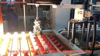 Scara Robot Automatic line for lighting industry 3