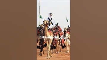 قرآن كريم القارئ عبدالرحمن مسعد سورة الغاشيه #القرآن_الكريم #تلاوة_خاشعة #تلاوة_قرآن