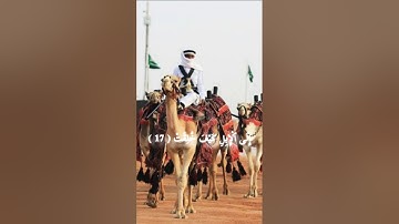 قرآن كريم القارئ عبدالرحمن مسعد سورة الغاشيه #القرآن_الكريم #تلاوة_خاشعة #تلاوة_قرآن