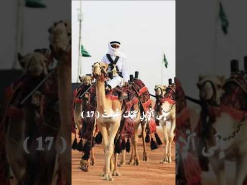 قرآن كريم القارئ عبدالرحمن مسعد سورة الغاشيه القرآن الكريم تلاوة خاشعة تلاوة قرآن