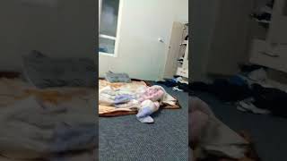 perfect loop