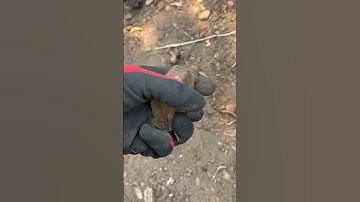 Cool find while bottle digging! #bottledigging #bottles #metaldetecting #shorts #short