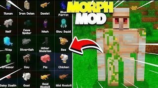 Morph mod minecraft pe 1.21.101 । Addon morph mcpe 1.21
