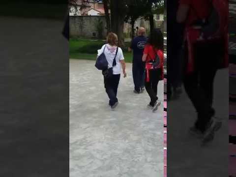 promenade avec une personne handicapée