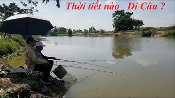 Lựa chọn thời tiết, mùa nào câu cá chép cá diếc cá rô phi hiệu quả