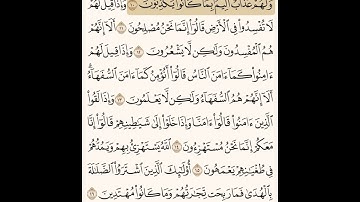 سوره البقره من ايه  (١٠)الي ايه (١٦)