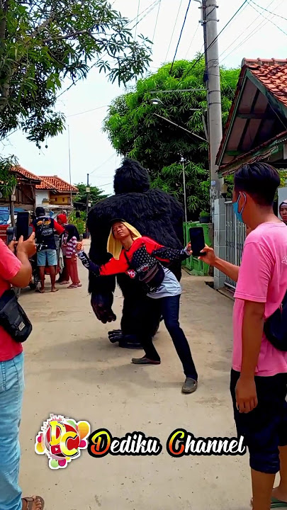 Kingkong dan Youtuber‼️ #arakarakan #shortsfeed #shortsvideo #Putra Pai Muda#singadangdut